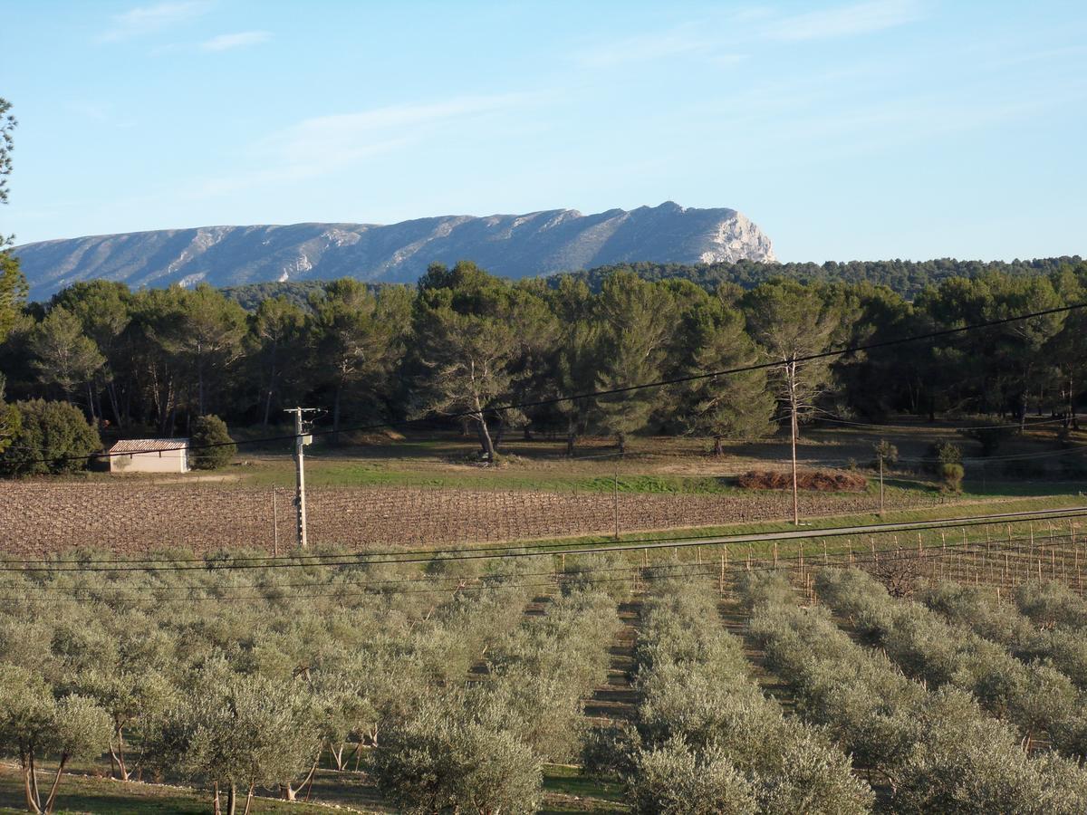 לינה וארוחת בוקר וונל Domaine De L'Olibaou מראה חיצוני תמונה